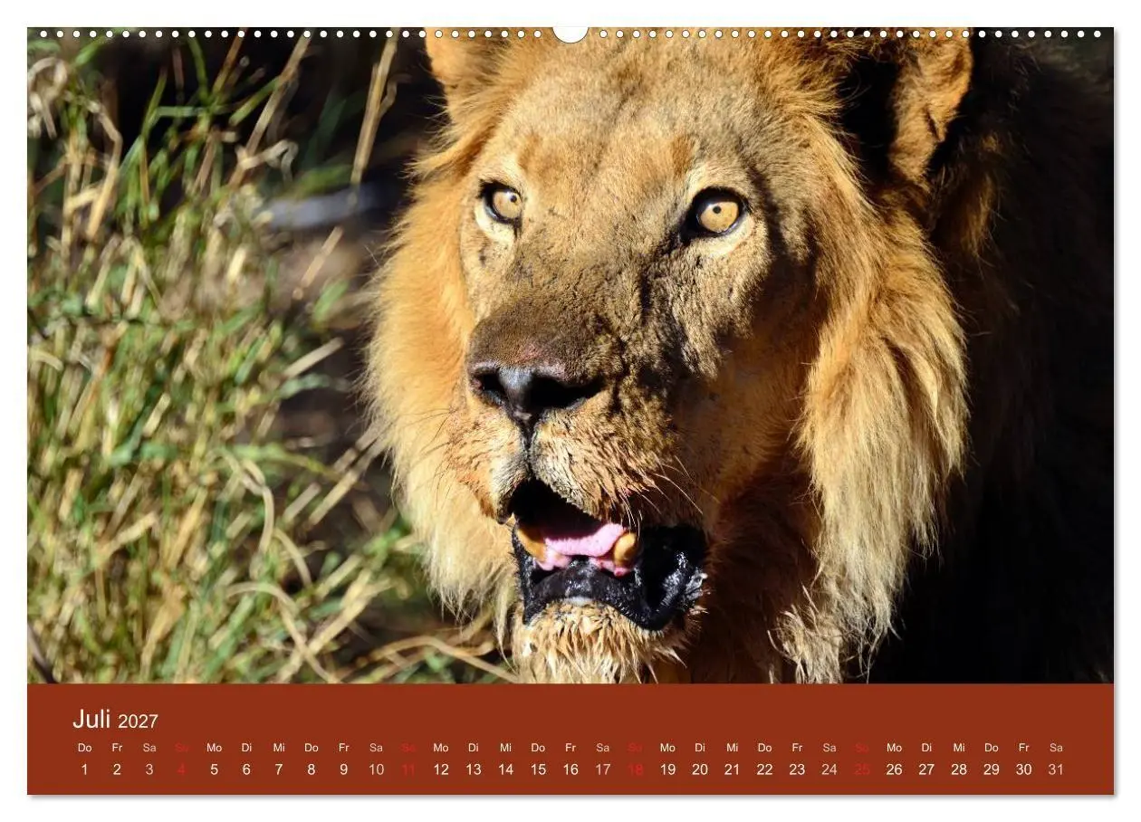 Bild: 9783594227220 | Namibia (Wandkalender 2027 DIN A2 quer), CALVENDO Monatskalender