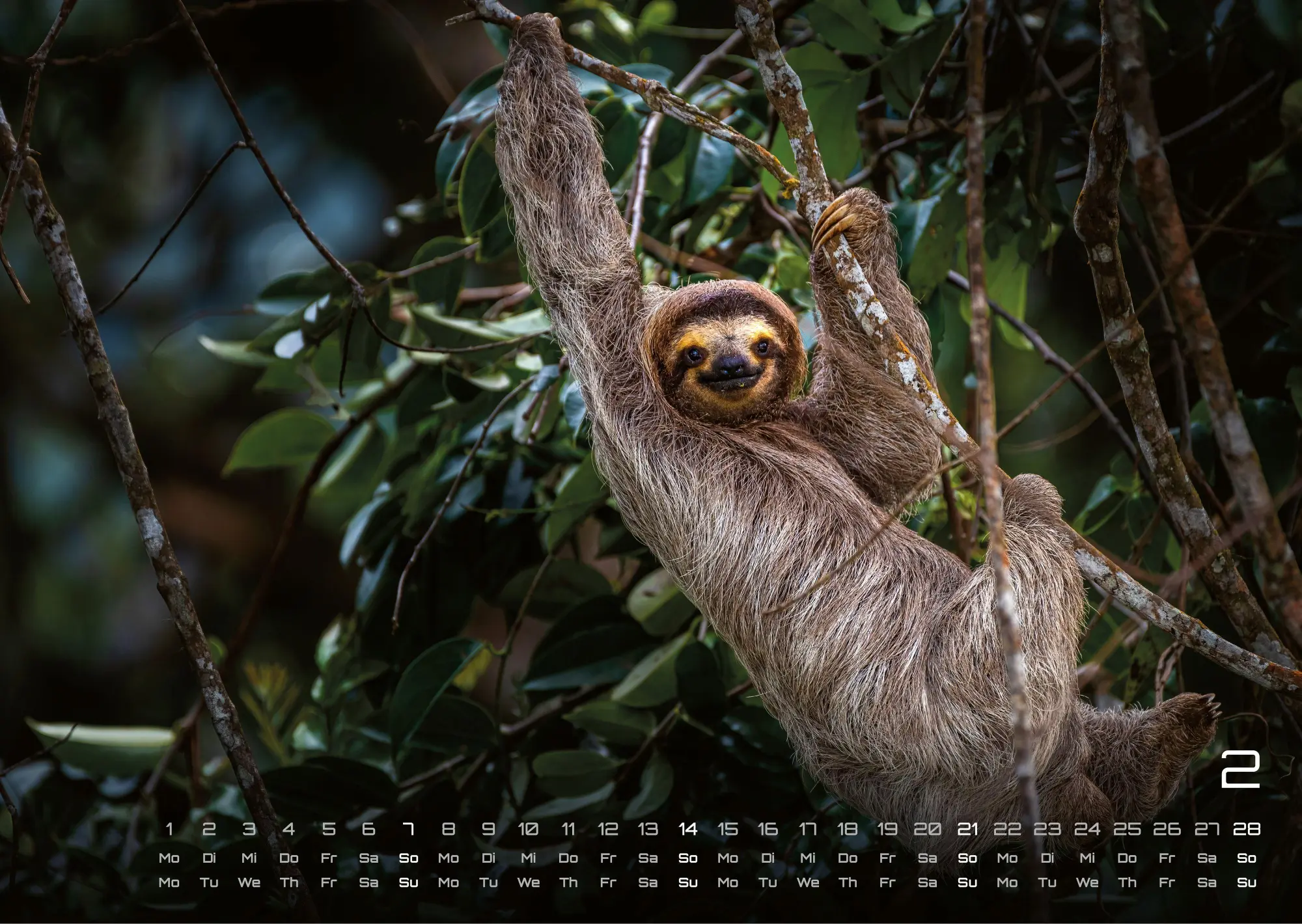 Bild: 9783986737320 | Faultiere - Chill mal! - 2027 - Kalender DIN A3 | GP-Fever. de | 15 S.
