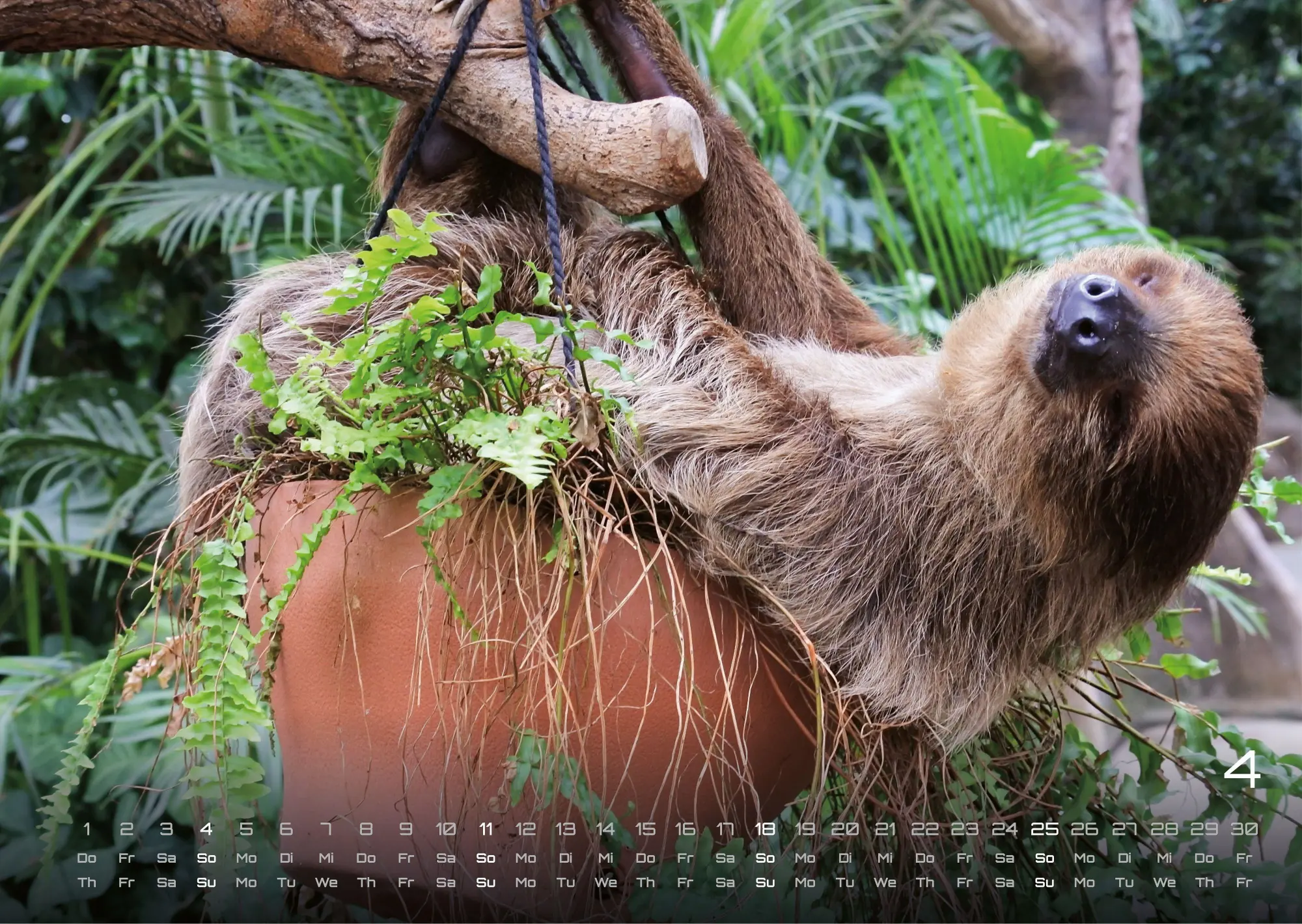 Bild: 9783986737320 | Faultiere - Chill mal! - 2027 - Kalender DIN A3 | GP-Fever. de | 15 S.