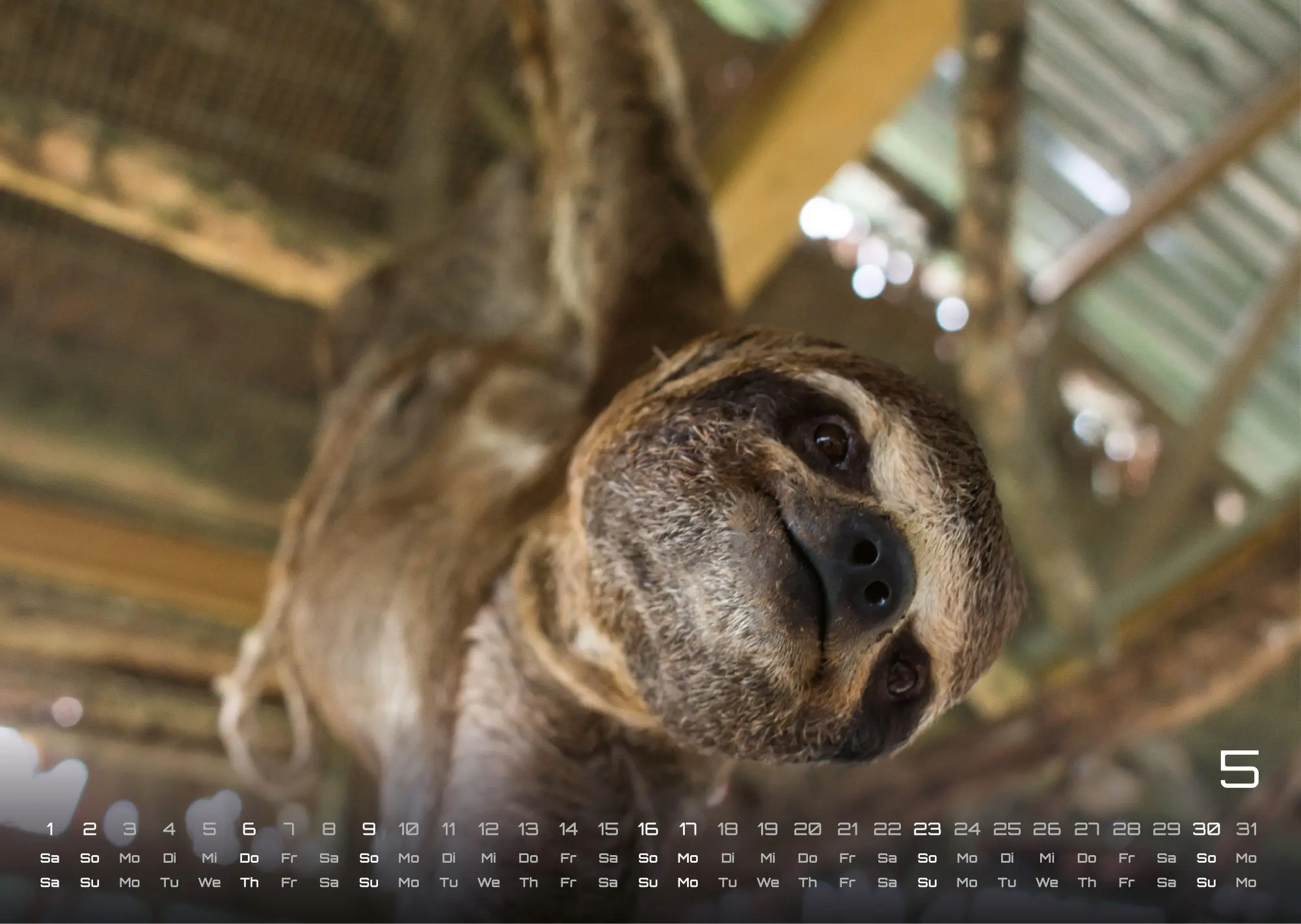 Bild: 9783986737320 | Faultiere - Chill mal! - 2027 - Kalender DIN A3 | GP-Fever. de | 15 S.