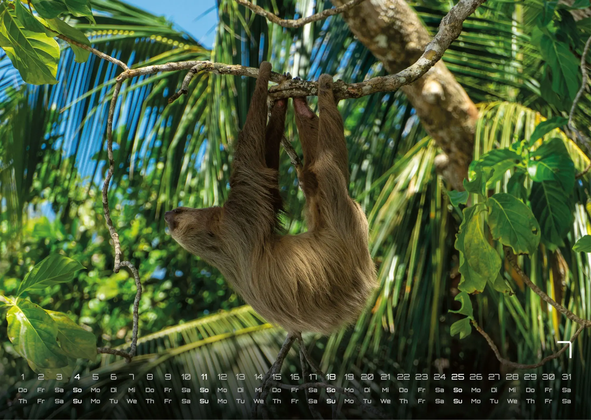 Bild: 9783986737320 | Faultiere - Chill mal! - 2027 - Kalender DIN A3 | GP-Fever. de | 15 S.