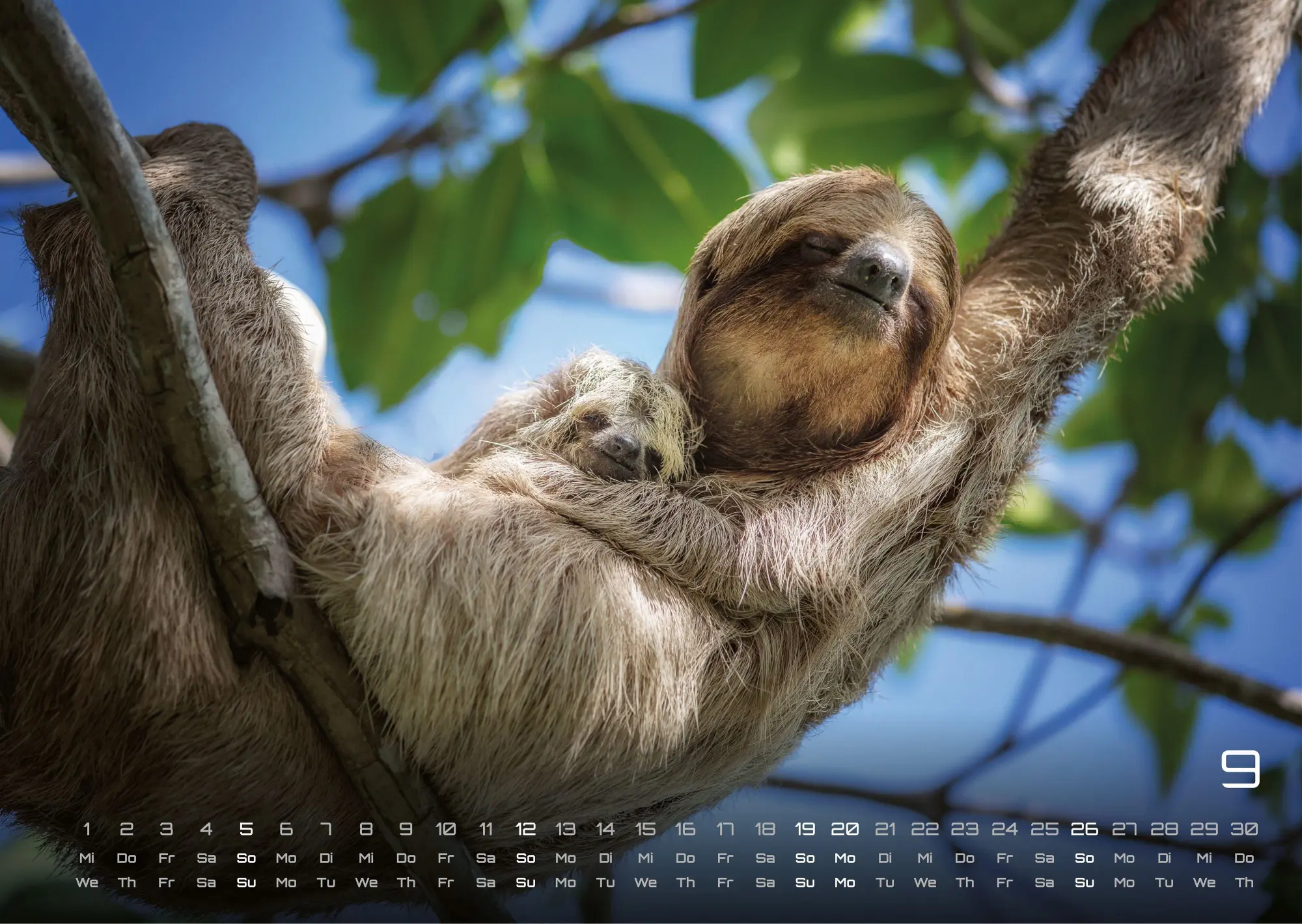 Bild: 9783986737320 | Faultiere - Chill mal! - 2027 - Kalender DIN A3 | GP-Fever. de | 15 S.