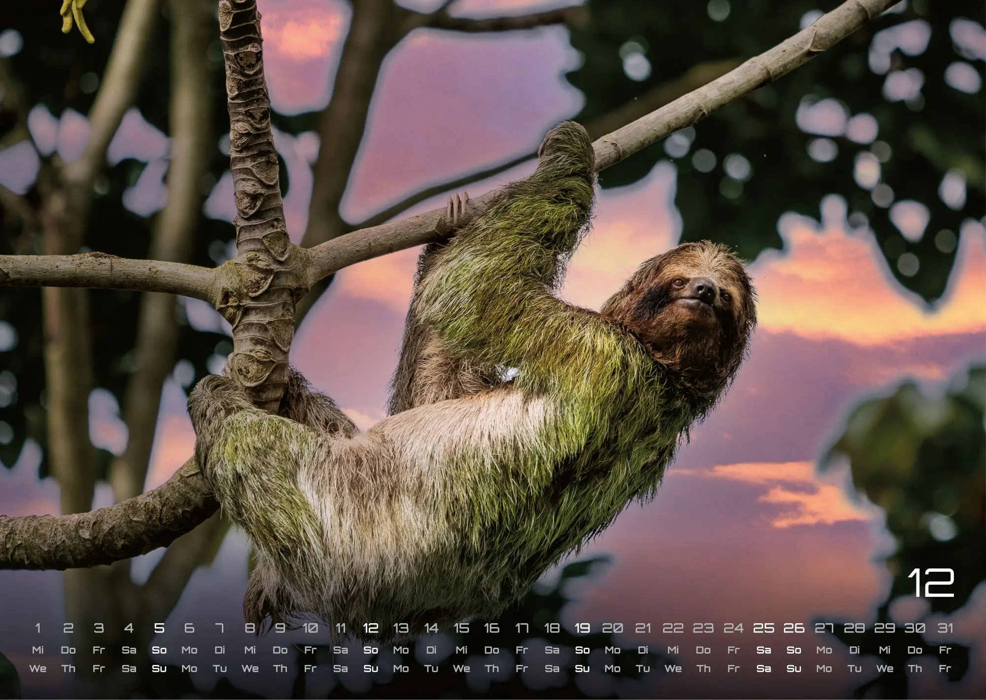 Bild: 9783986737320 | Faultiere - Chill mal! - 2027 - Kalender DIN A3 | GP-Fever. de | 15 S.