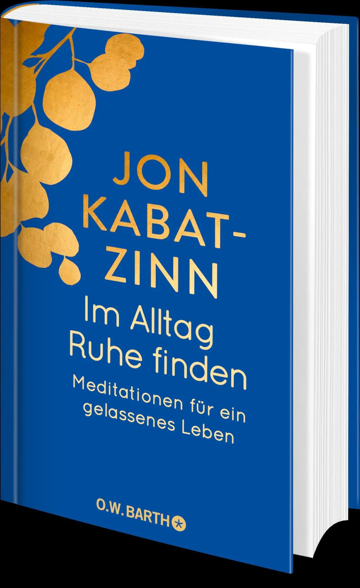 Bild: 9783426447420 | Im Alltag Ruhe finden | Jon Kabat-Zinn | Buch | 288 S. | Deutsch