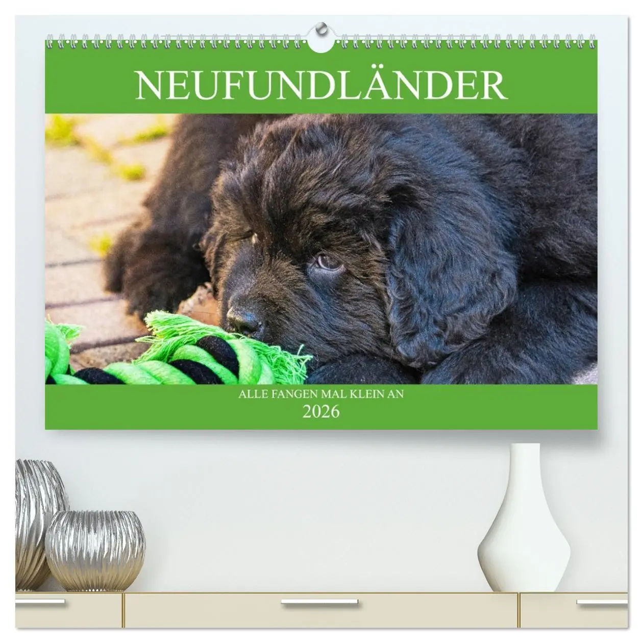 Cover: 9783457687420 | Neufundländer - Alle fangen mal klein an (hochwertiger Premium...