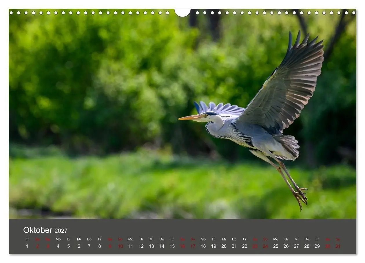 Bild: 9783594377420 | Reiher in der Elbmarsch (Wandkalender 2027 DIN A3 quer), CALVENDO...