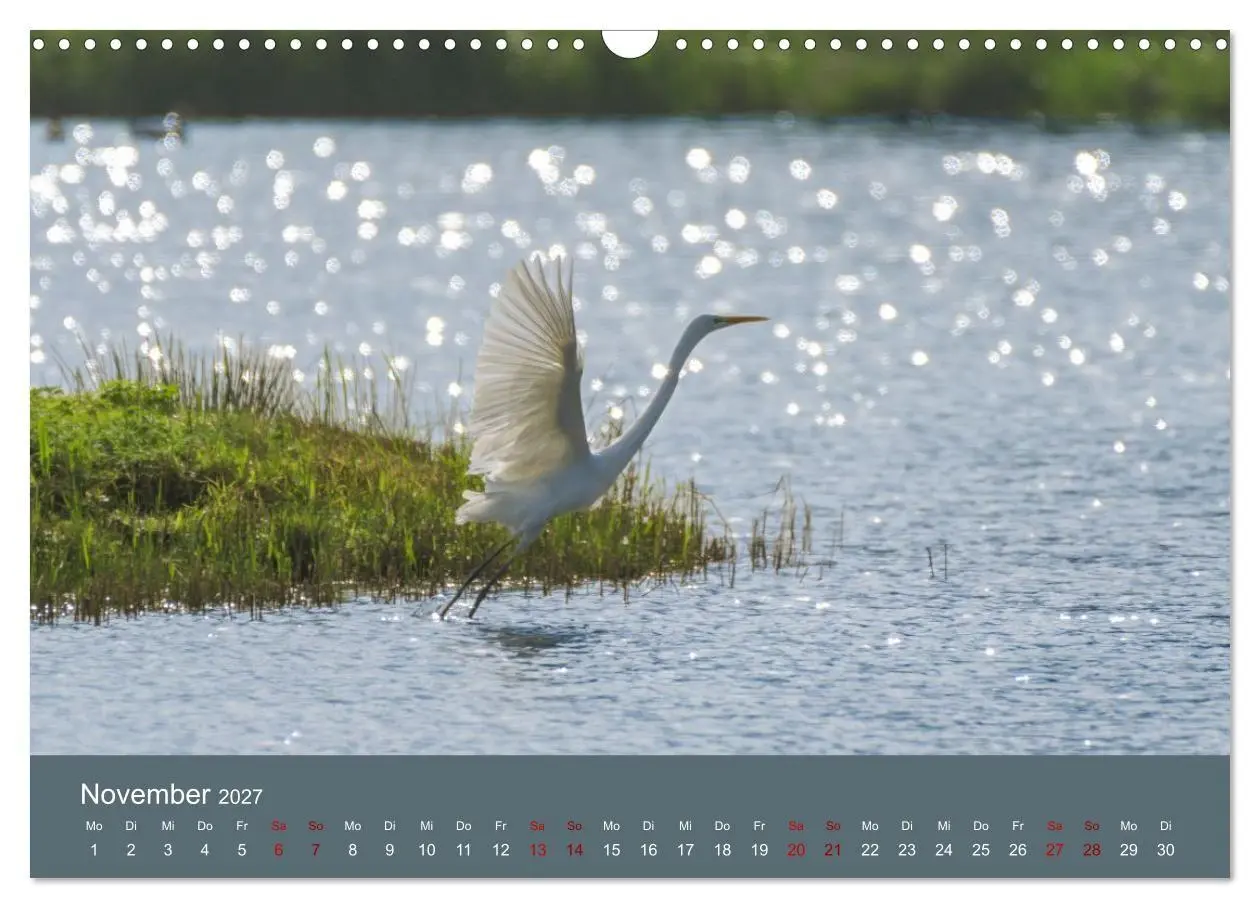 Bild: 9783594377420 | Reiher in der Elbmarsch (Wandkalender 2027 DIN A3 quer), CALVENDO...