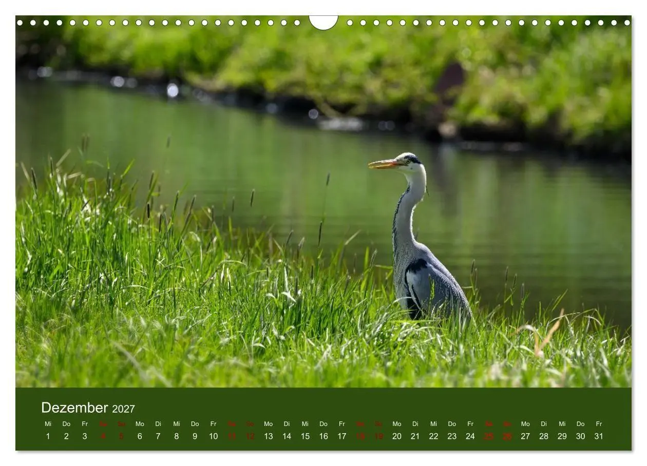 Bild: 9783594377420 | Reiher in der Elbmarsch (Wandkalender 2027 DIN A3 quer), CALVENDO...