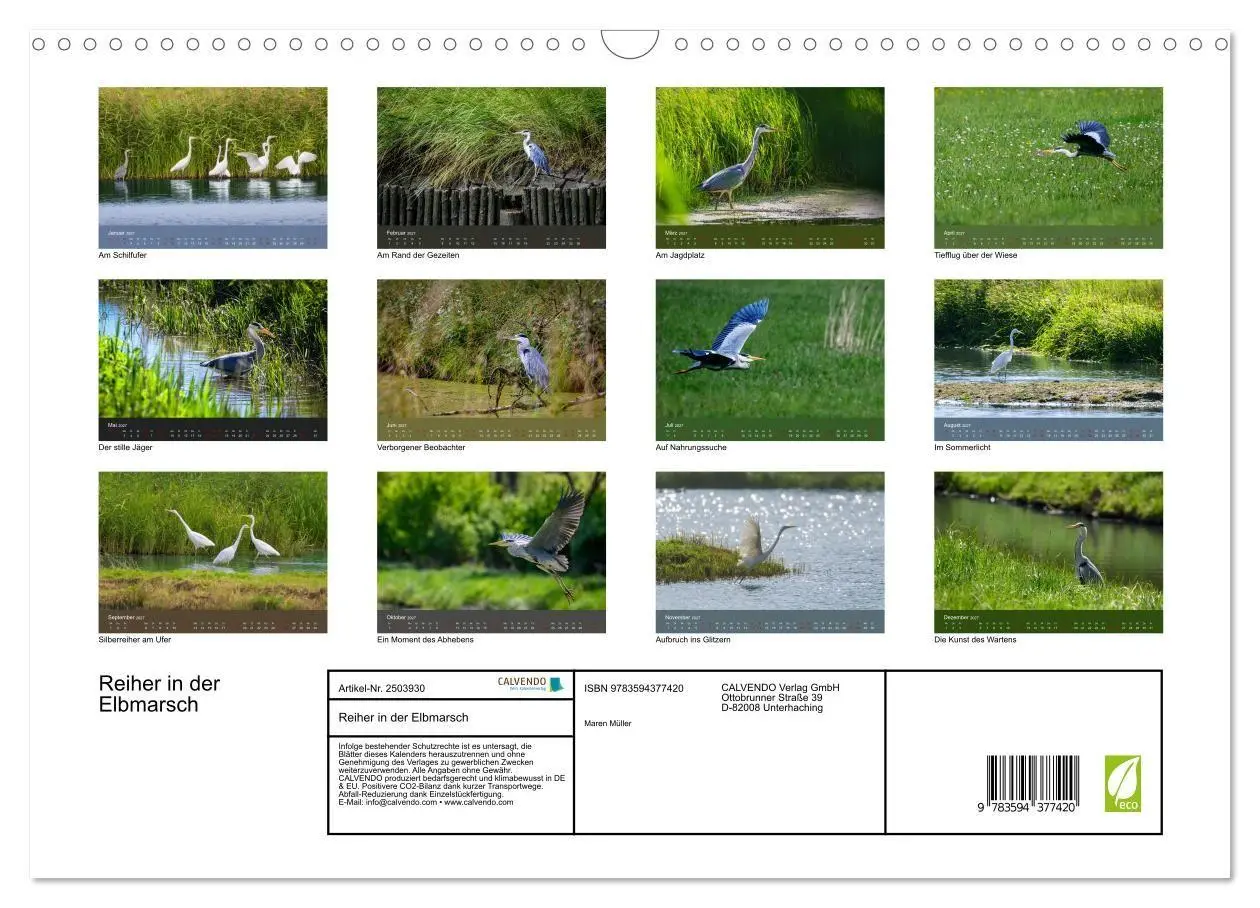 Bild: 9783594377420 | Reiher in der Elbmarsch (Wandkalender 2027 DIN A3 quer), CALVENDO...