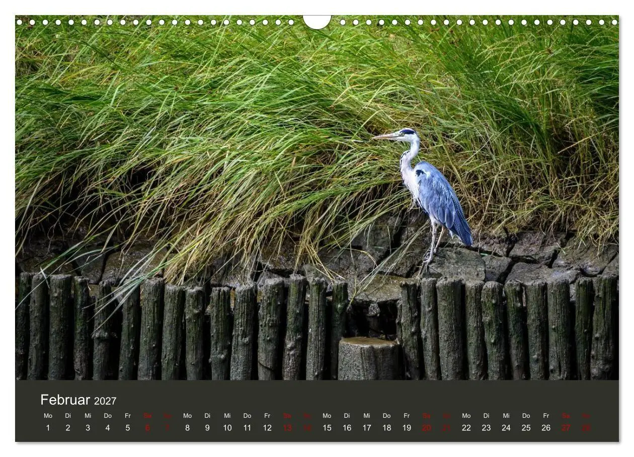Bild: 9783594377420 | Reiher in der Elbmarsch (Wandkalender 2027 DIN A3 quer), CALVENDO...