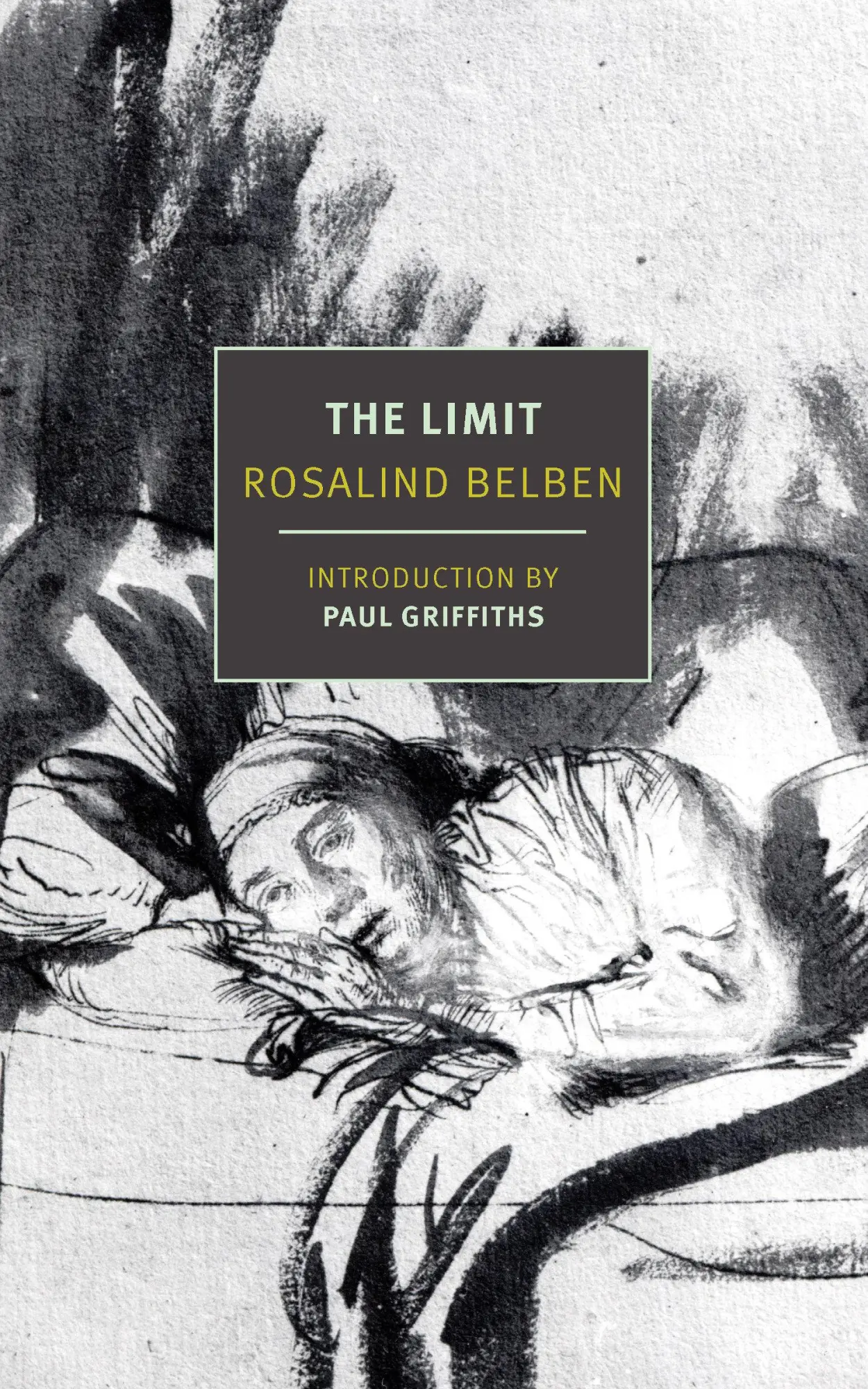 Cover: 9781681377520 | The Limit | Rosalind Belben | Taschenbuch | Einband - flex.(Paperback)