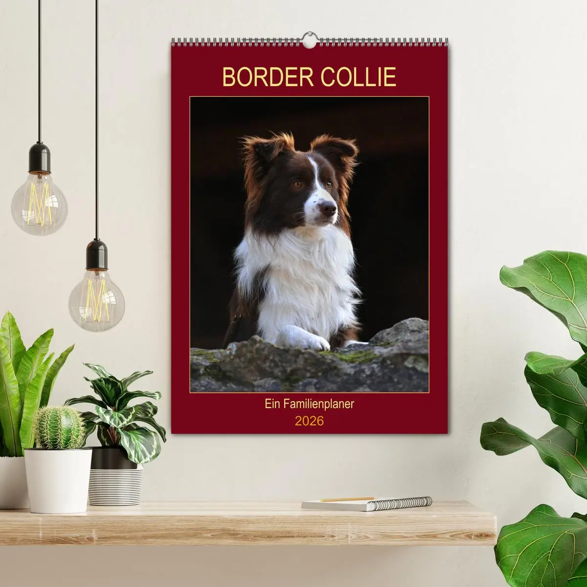 Bild: 9783516387520 | Border Collie - Ein Familienplaner (Wandkalender 2026 DIN A2 hoch),...