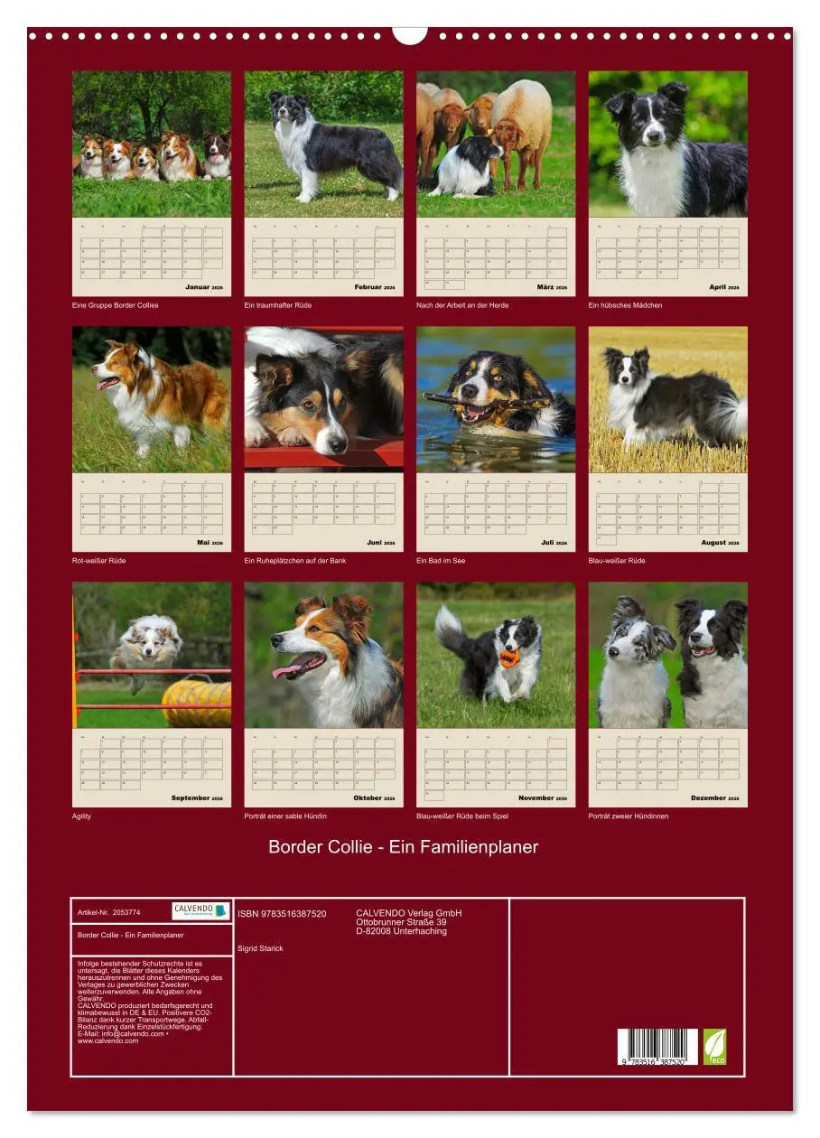 Bild: 9783516387520 | Border Collie - Ein Familienplaner (Wandkalender 2026 DIN A2 hoch),...