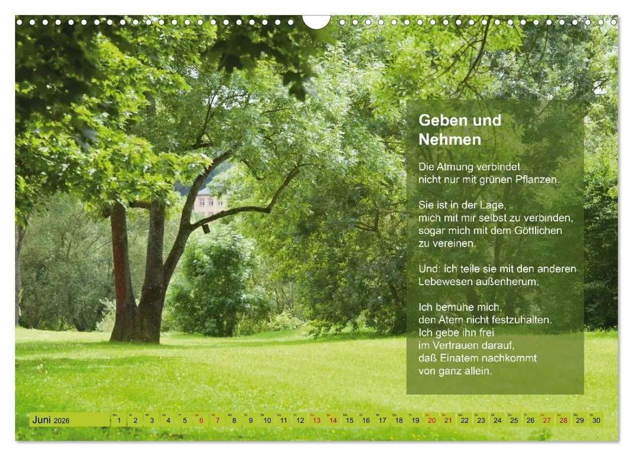 Bild: 9783516697520 | Im Rhythmus der Jahreszeiten und des Kirchenjahres (Wandkalender...