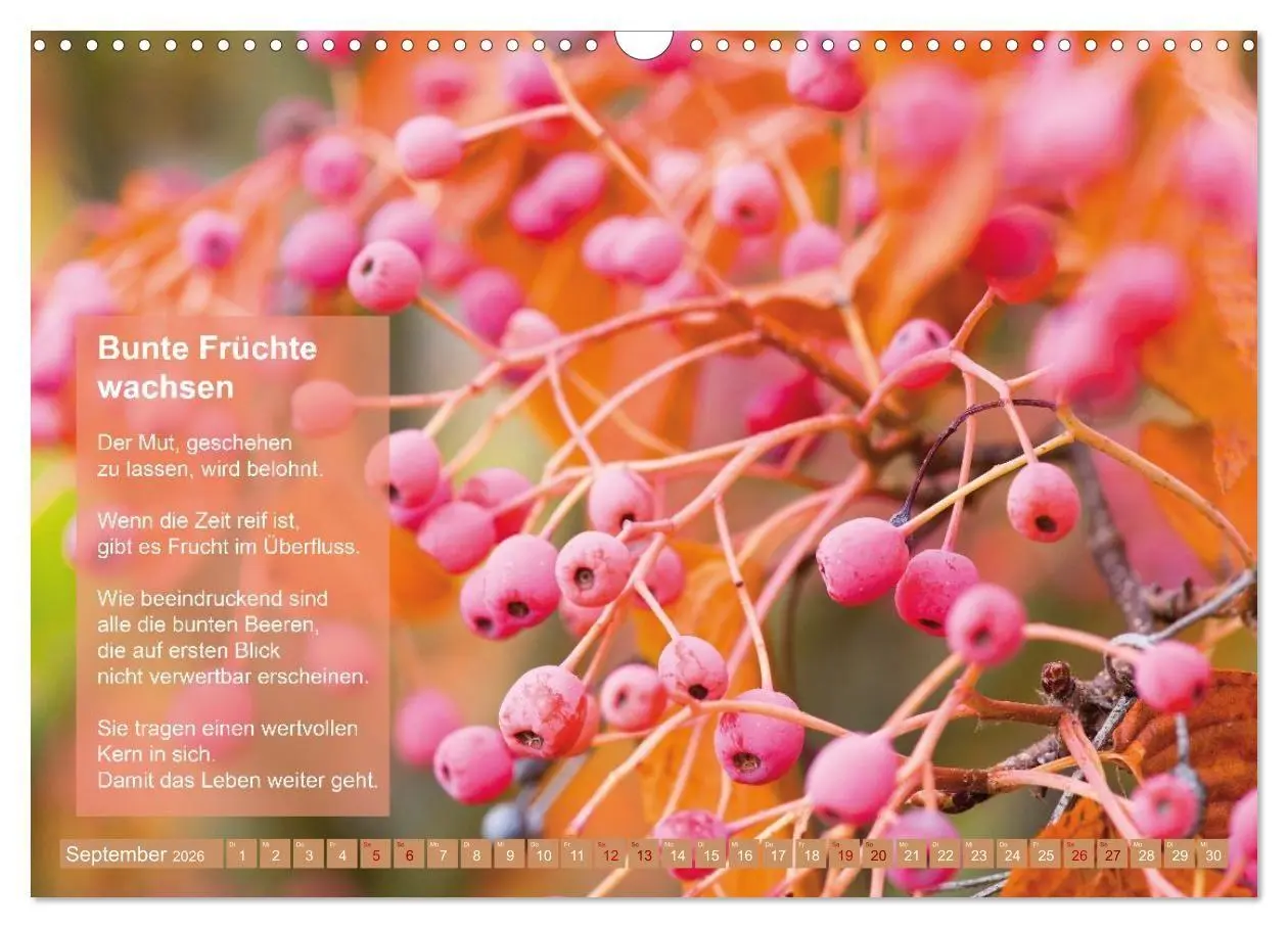 Bild: 9783516697520 | Im Rhythmus der Jahreszeiten und des Kirchenjahres (Wandkalender...