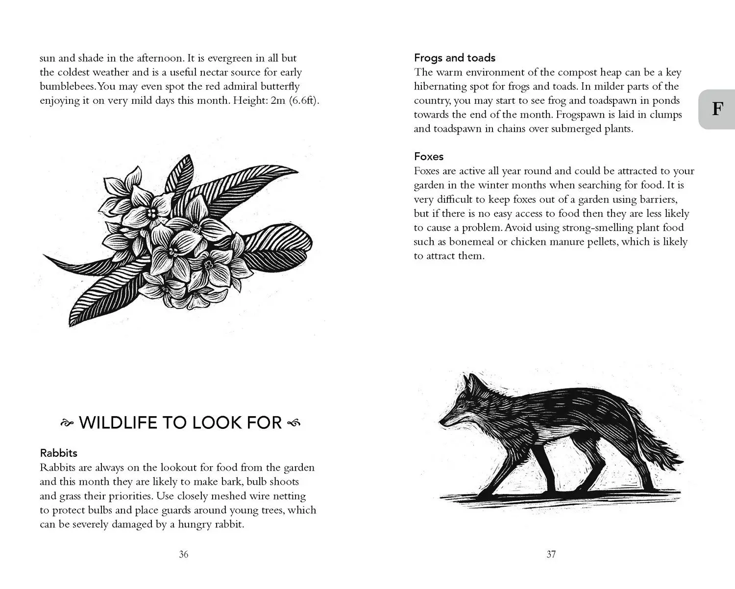 Bild: 9780008567620 | The Gardener's Almanac 2024 | Greg Loades (u. a.) | Buch | Gebunden