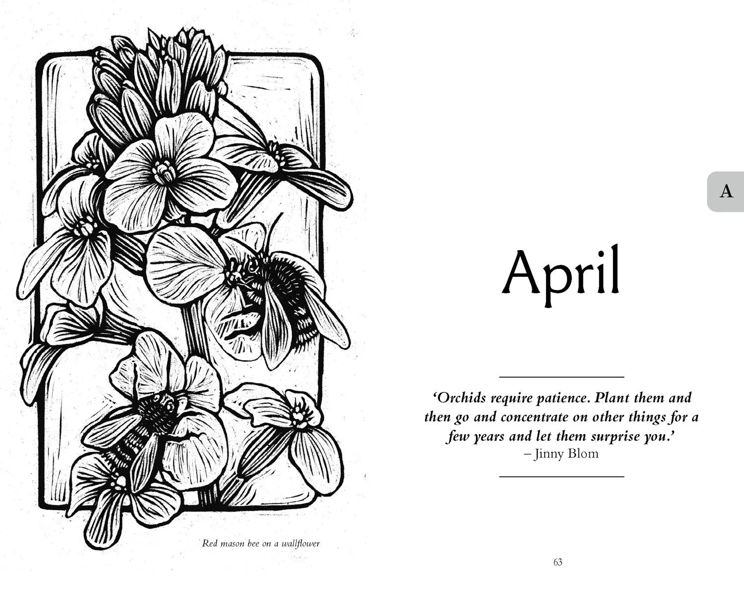 Bild: 9780008567620 | The Gardener's Almanac 2024 | Greg Loades (u. a.) | Buch | Gebunden