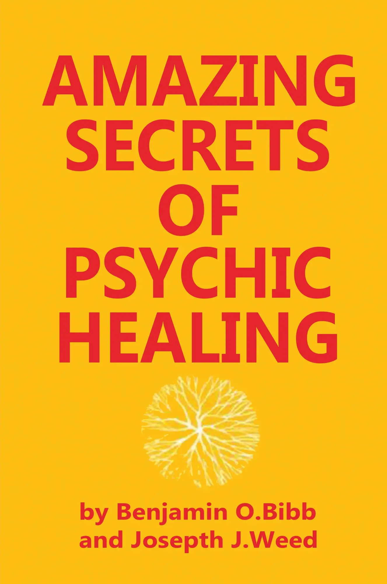 Cover: 9780130237620 | Amazing Secrets of Psychic Healing | Benjamin O. Bibb (u. a.) | Buch