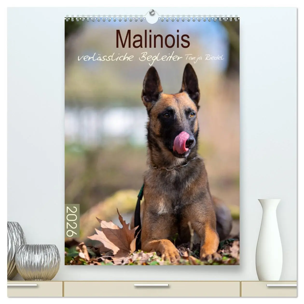 Cover: 9783516377620 | Malinois verlässliche Begleiter (hochwertiger Premium Wandkalender...