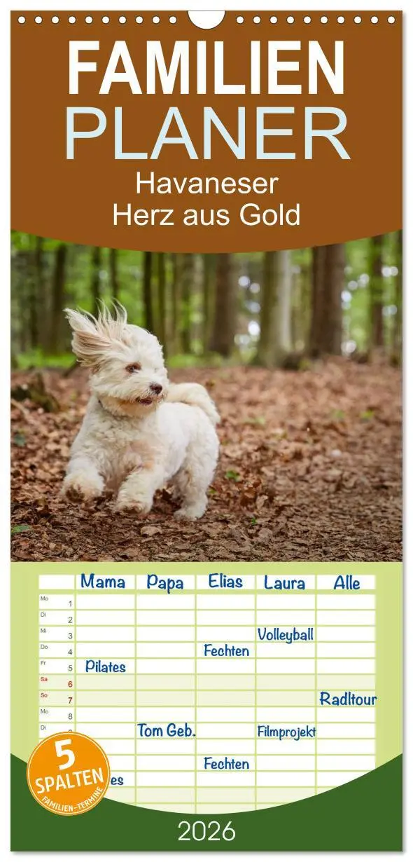 Cover: 9783516517620 | Familienplaner 2026 - Havaneser - Herz aus Gold mit 5 Spalten...