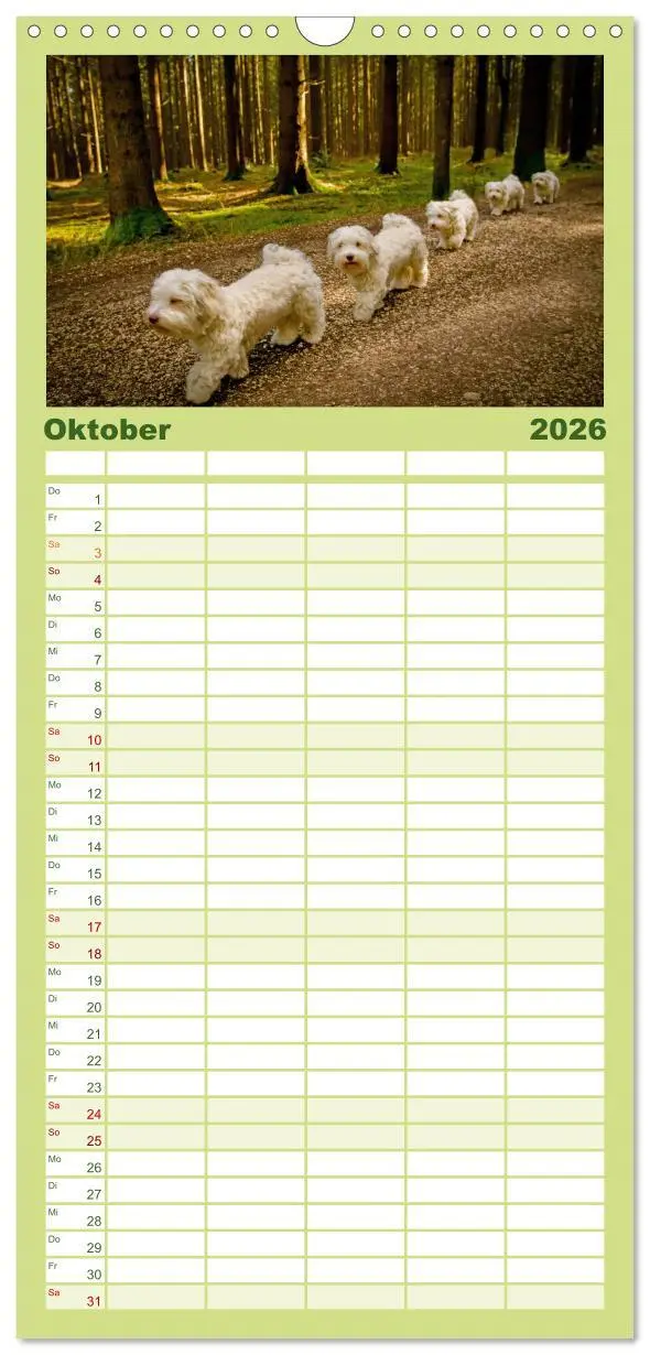 Bild: 9783516517620 | Familienplaner 2026 - Havaneser - Herz aus Gold mit 5 Spalten...