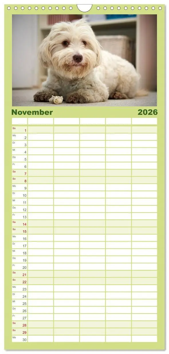 Bild: 9783516517620 | Familienplaner 2026 - Havaneser - Herz aus Gold mit 5 Spalten...