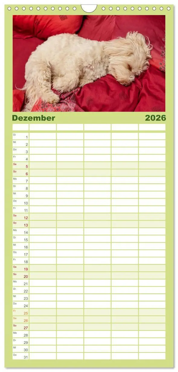 Bild: 9783516517620 | Familienplaner 2026 - Havaneser - Herz aus Gold mit 5 Spalten...