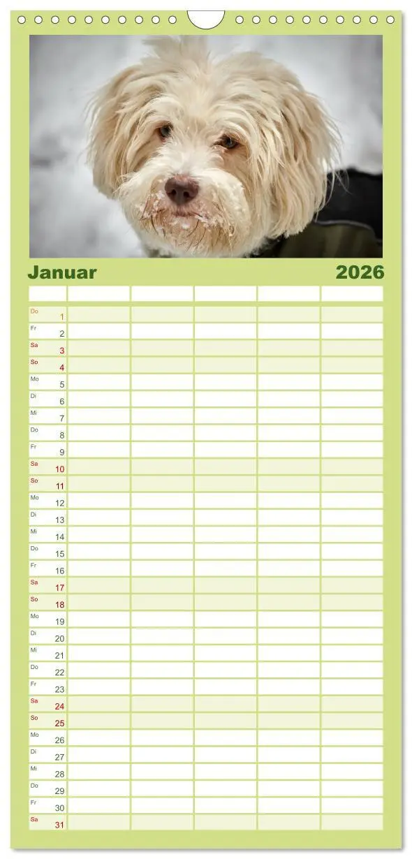 Bild: 9783516517620 | Familienplaner 2026 - Havaneser - Herz aus Gold mit 5 Spalten...