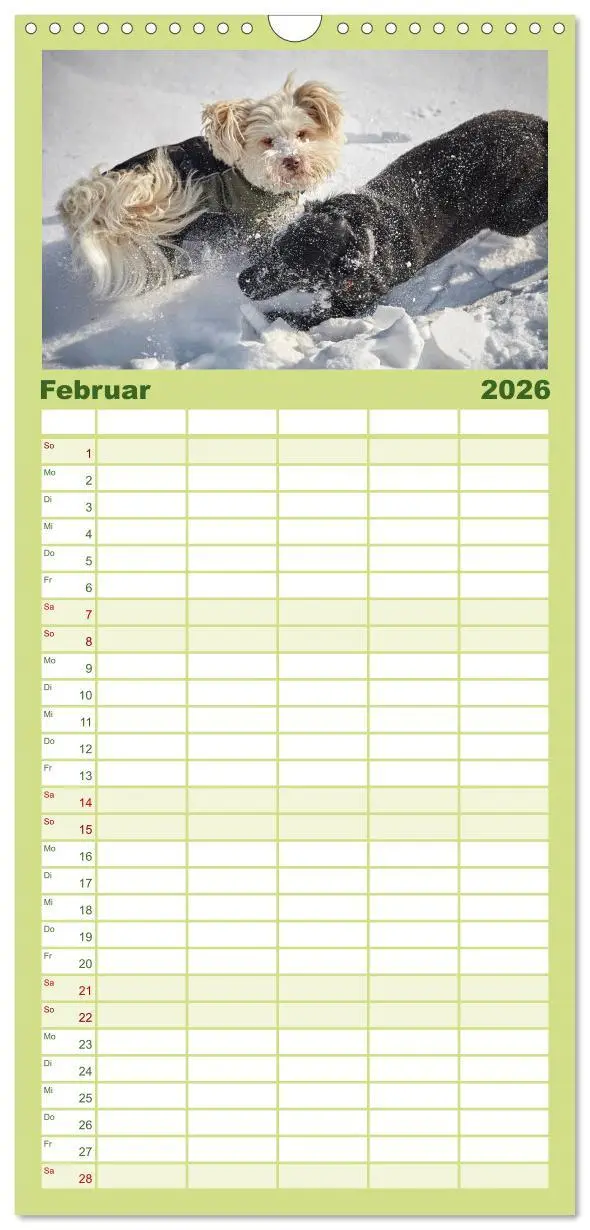 Bild: 9783516517620 | Familienplaner 2026 - Havaneser - Herz aus Gold mit 5 Spalten...