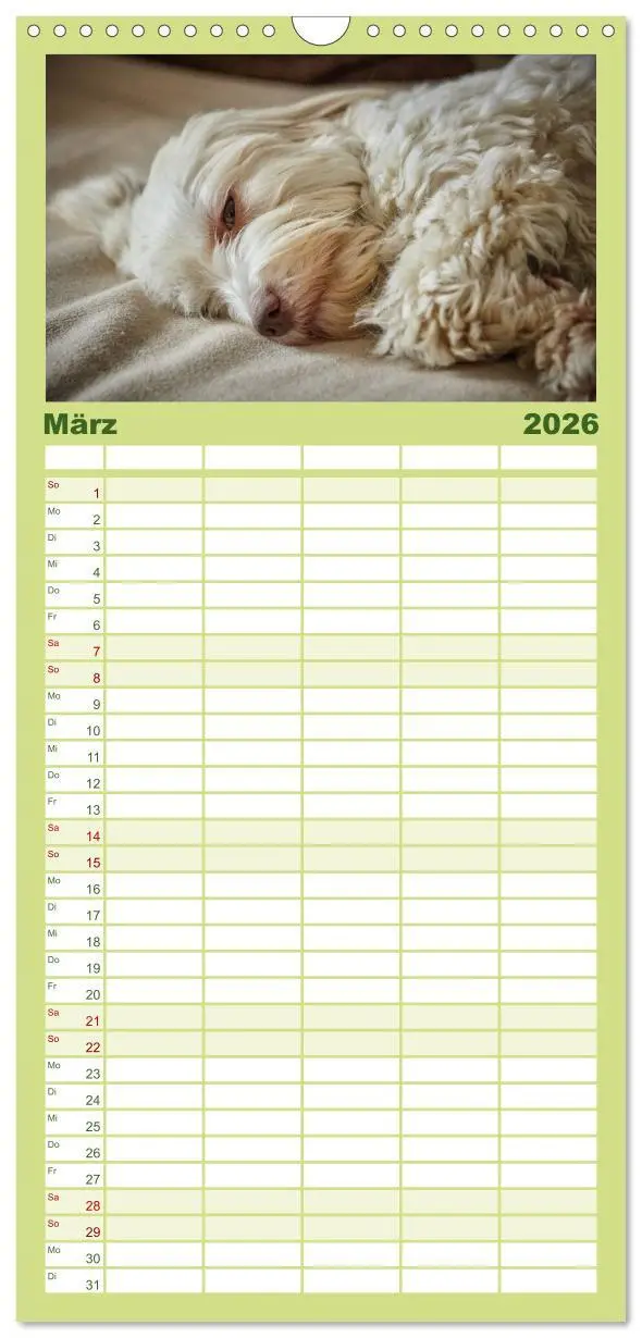 Bild: 9783516517620 | Familienplaner 2026 - Havaneser - Herz aus Gold mit 5 Spalten...