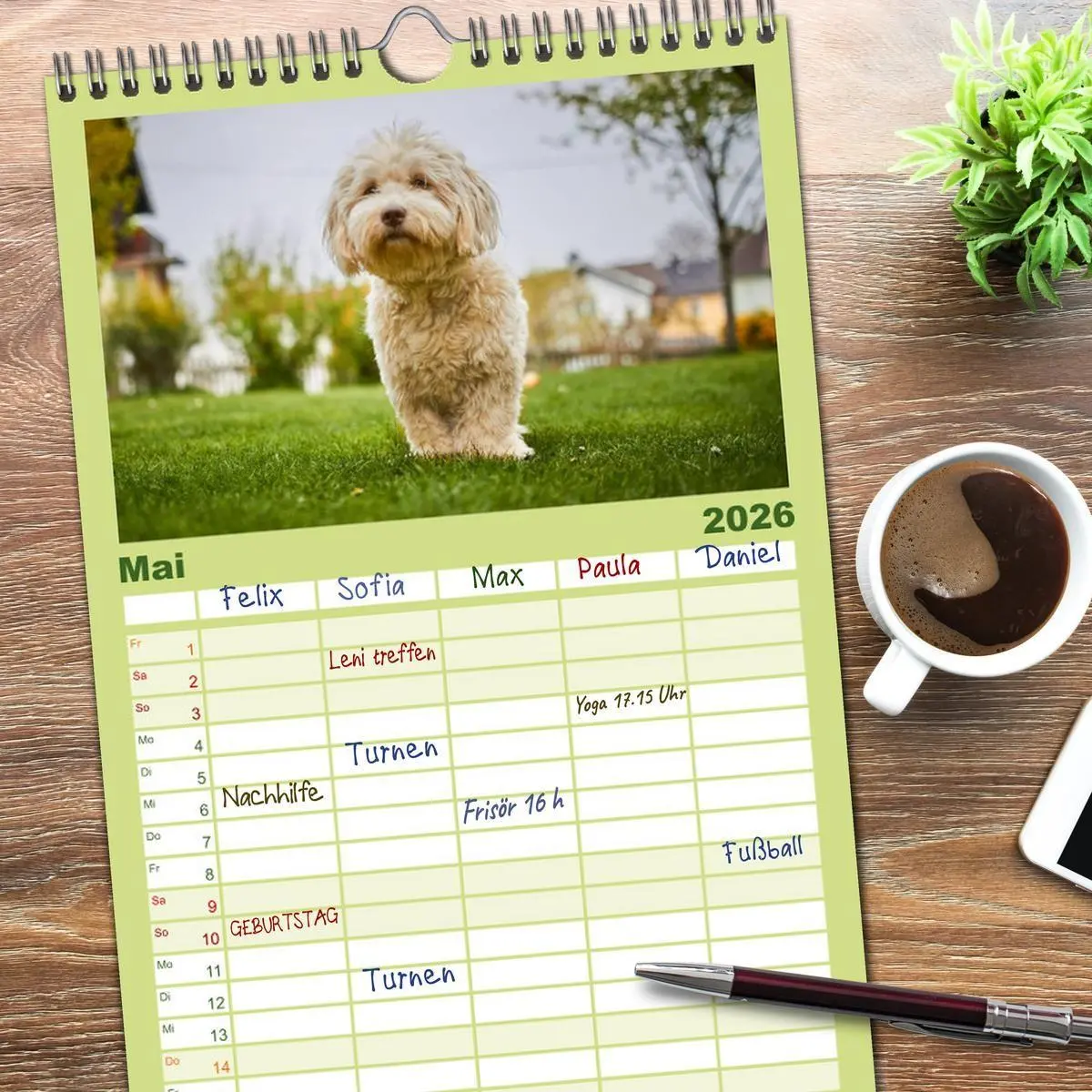 Bild: 9783516517620 | Familienplaner 2026 - Havaneser - Herz aus Gold mit 5 Spalten...