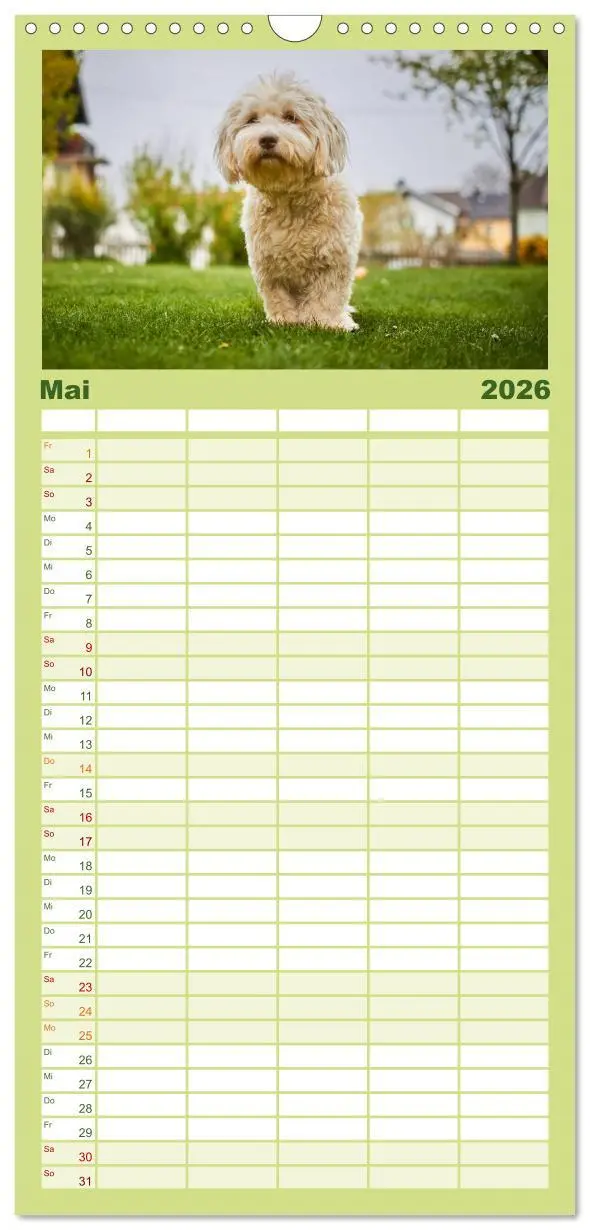 Bild: 9783516517620 | Familienplaner 2026 - Havaneser - Herz aus Gold mit 5 Spalten...