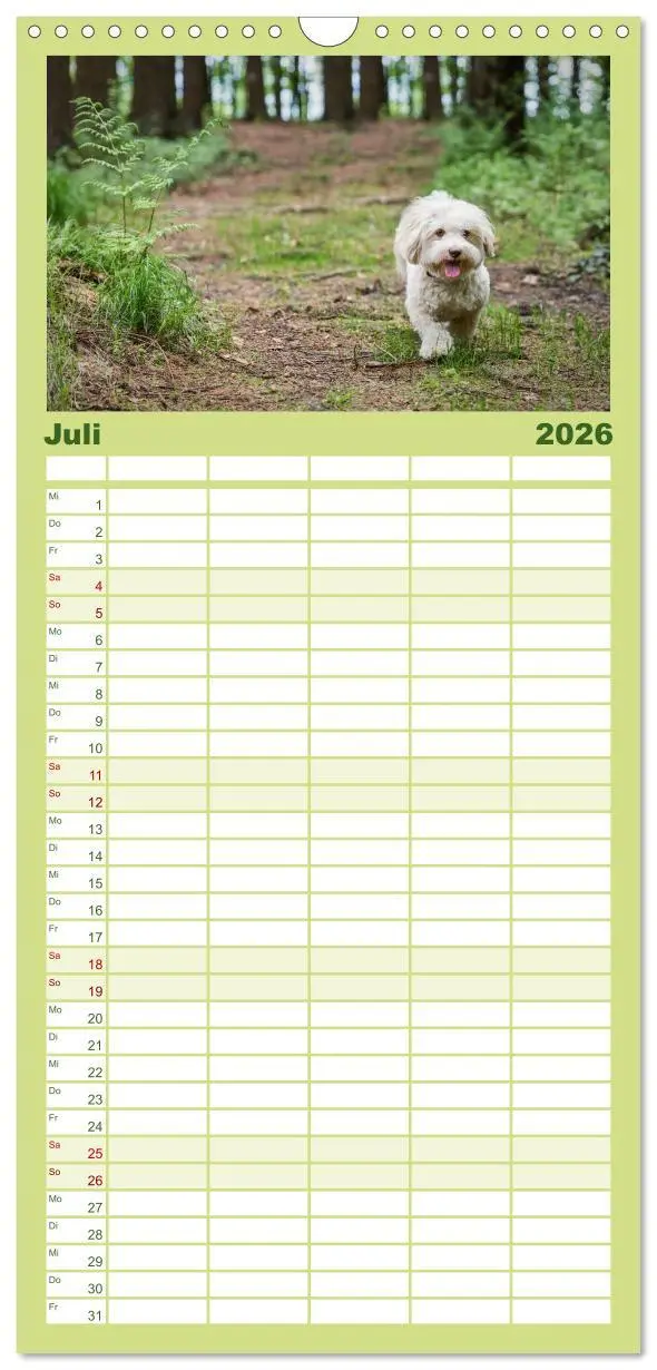 Bild: 9783516517620 | Familienplaner 2026 - Havaneser - Herz aus Gold mit 5 Spalten...