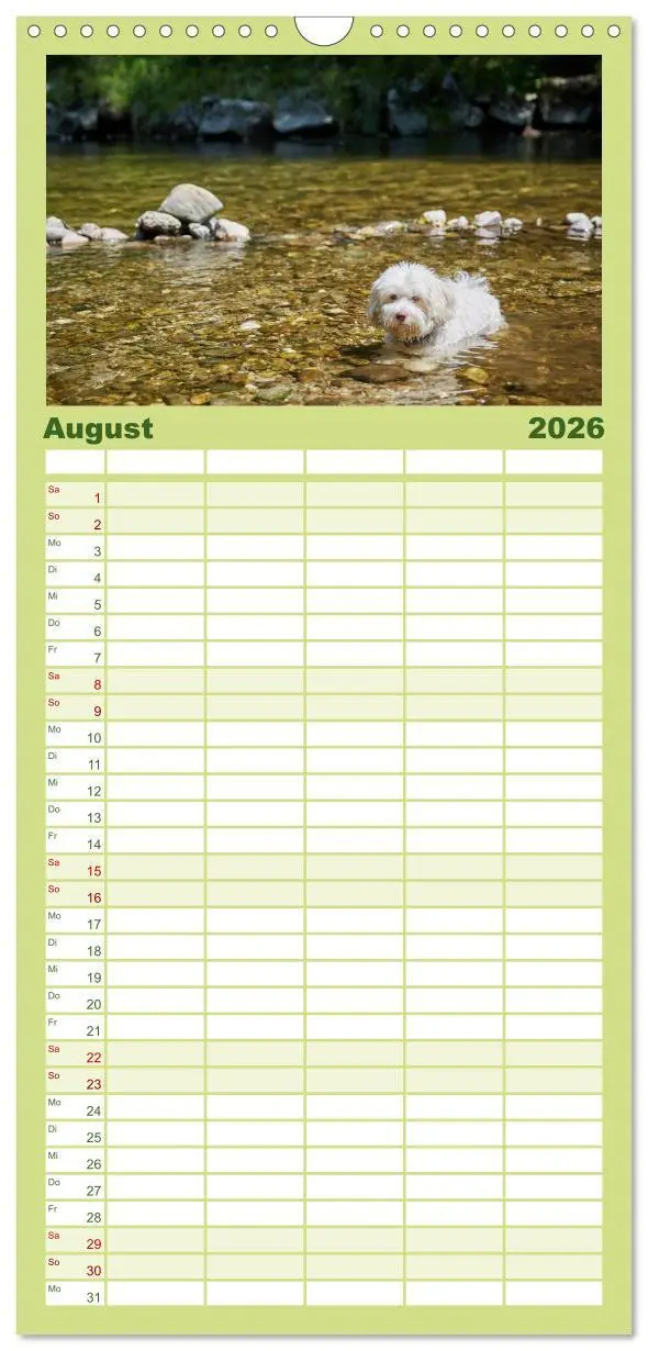 Bild: 9783516517620 | Familienplaner 2026 - Havaneser - Herz aus Gold mit 5 Spalten...