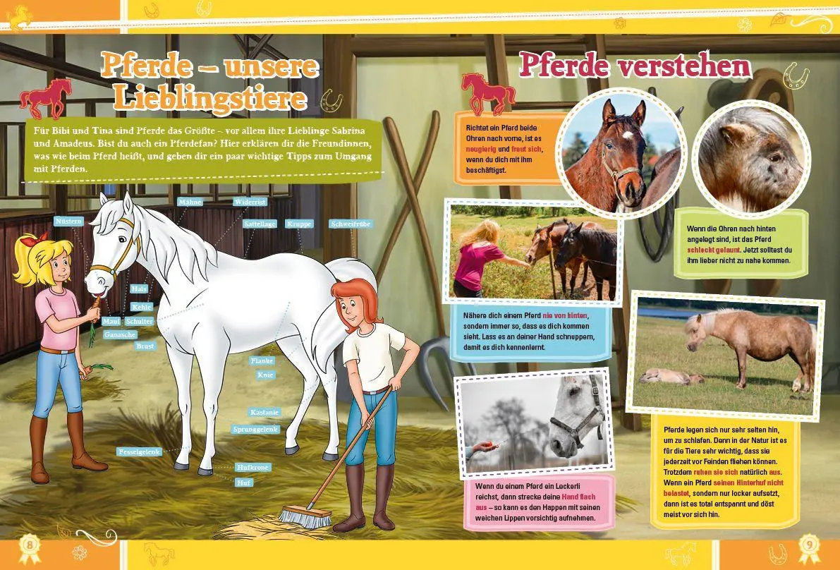 Bild: 9783833247620 | Bibi &amp; Tina: Das große Jubiläumsbuch | Jubiläumsband | Weigand (u. a.)