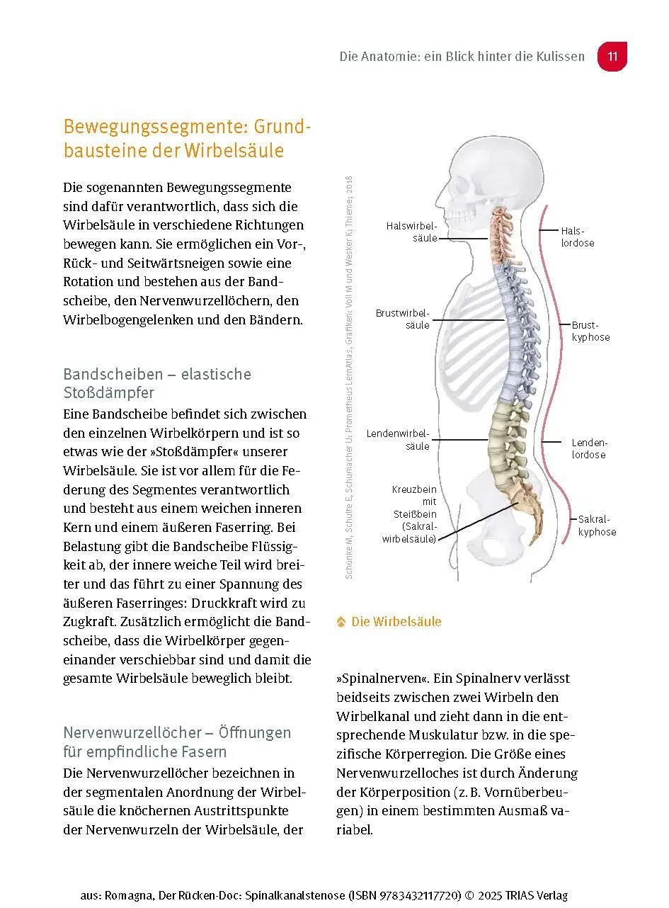 Bild: 9783432117720 | Der Rücken-Doc: Spinalkanalstenose | Alexander Romagna | Taschenbuch