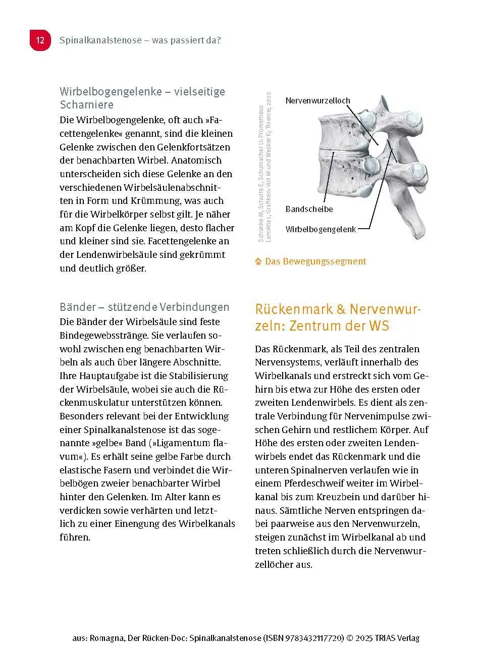 Bild: 9783432117720 | Der Rücken-Doc: Spinalkanalstenose | Alexander Romagna | Taschenbuch