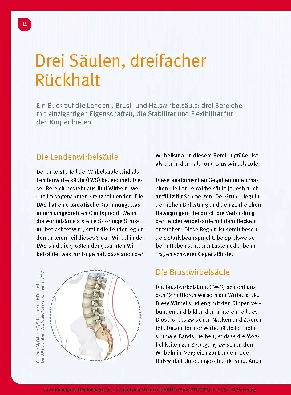 Bild: 9783432117720 | Der Rücken-Doc: Spinalkanalstenose | Alexander Romagna | Taschenbuch