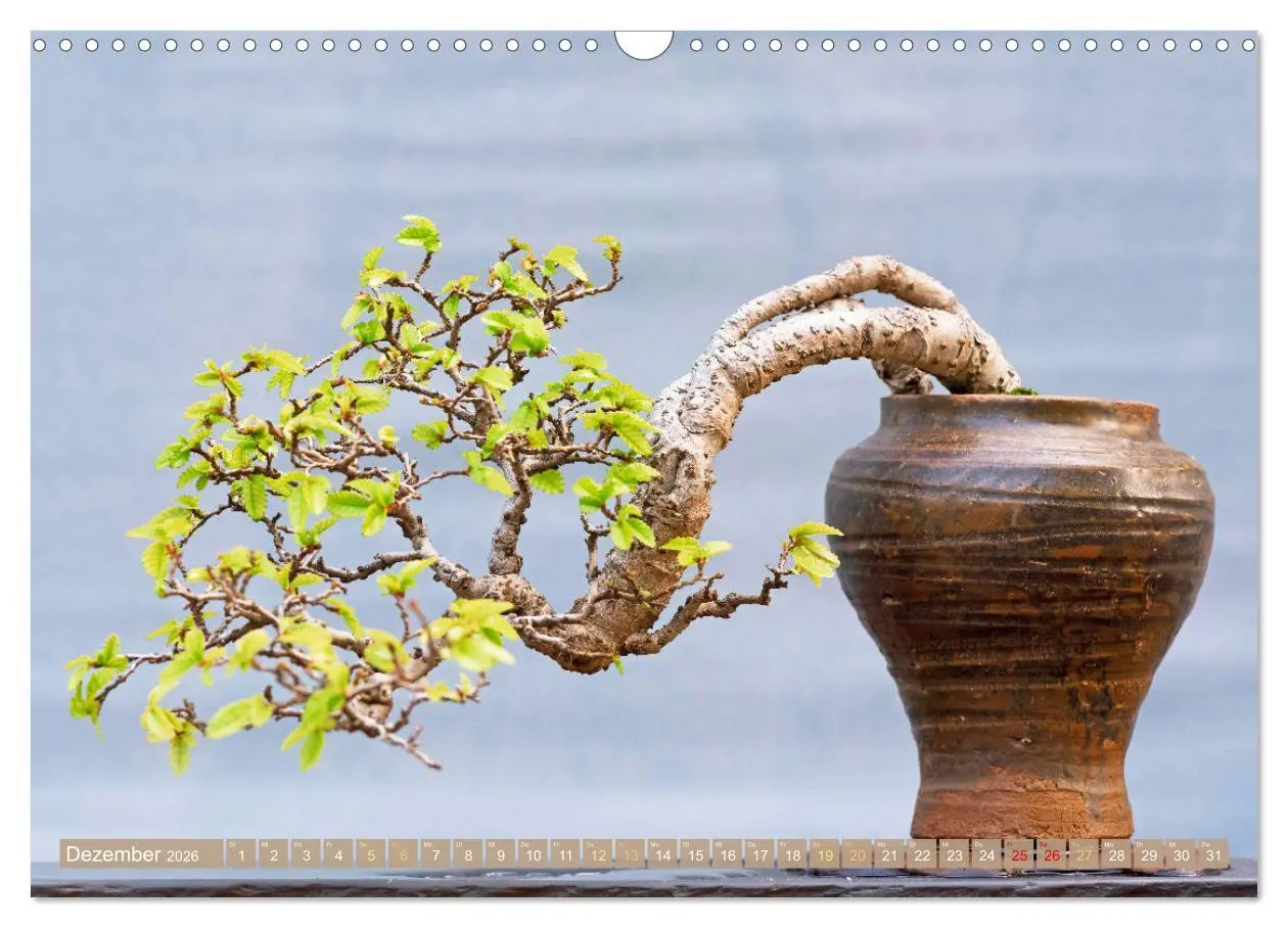 Bild: 9783457347720 | Gartenkunst aus Japan: Bonsai (Wandkalender 2026 DIN A3 quer),...