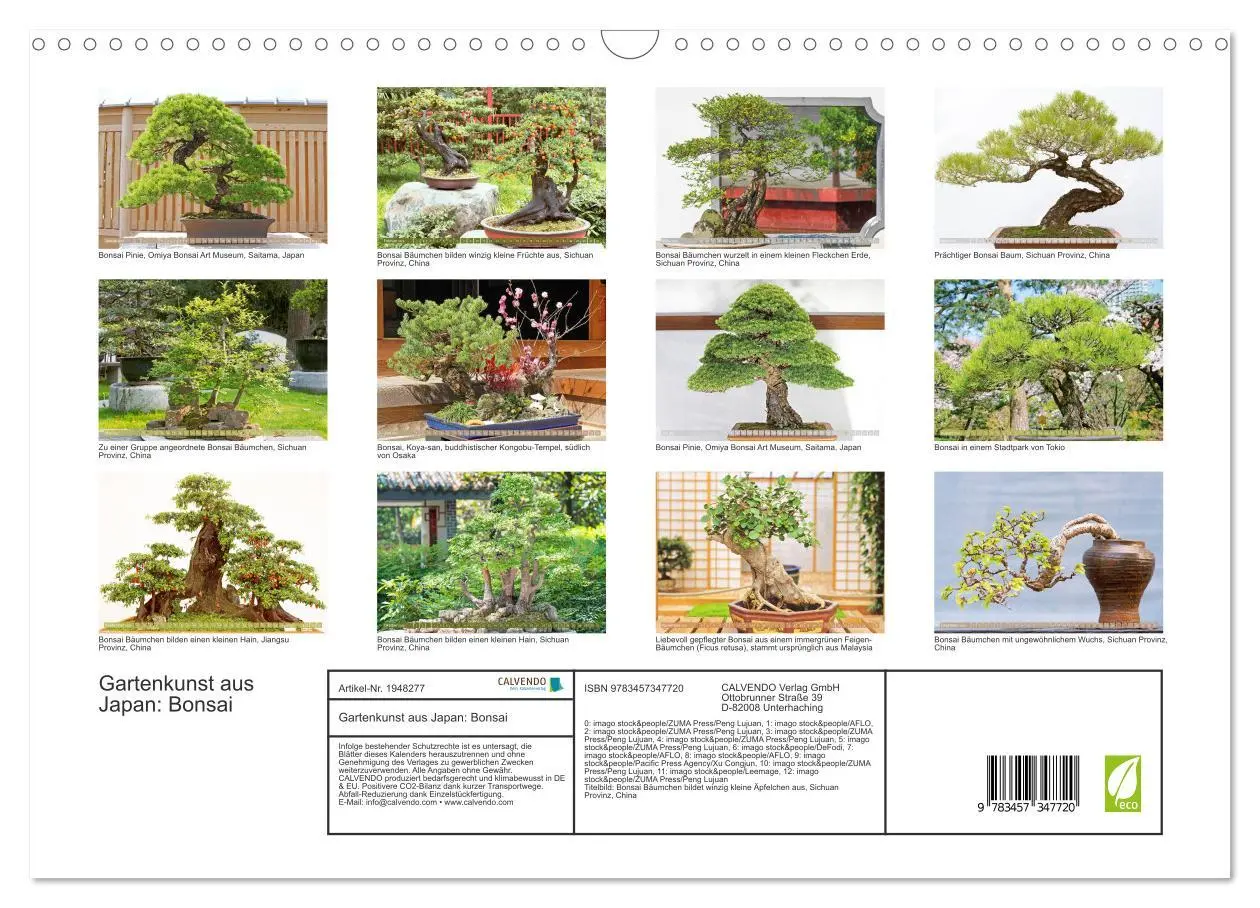 Bild: 9783457347720 | Gartenkunst aus Japan: Bonsai (Wandkalender 2026 DIN A3 quer),...