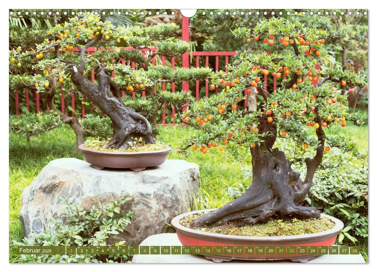 Bild: 9783457347720 | Gartenkunst aus Japan: Bonsai (Wandkalender 2026 DIN A3 quer),...