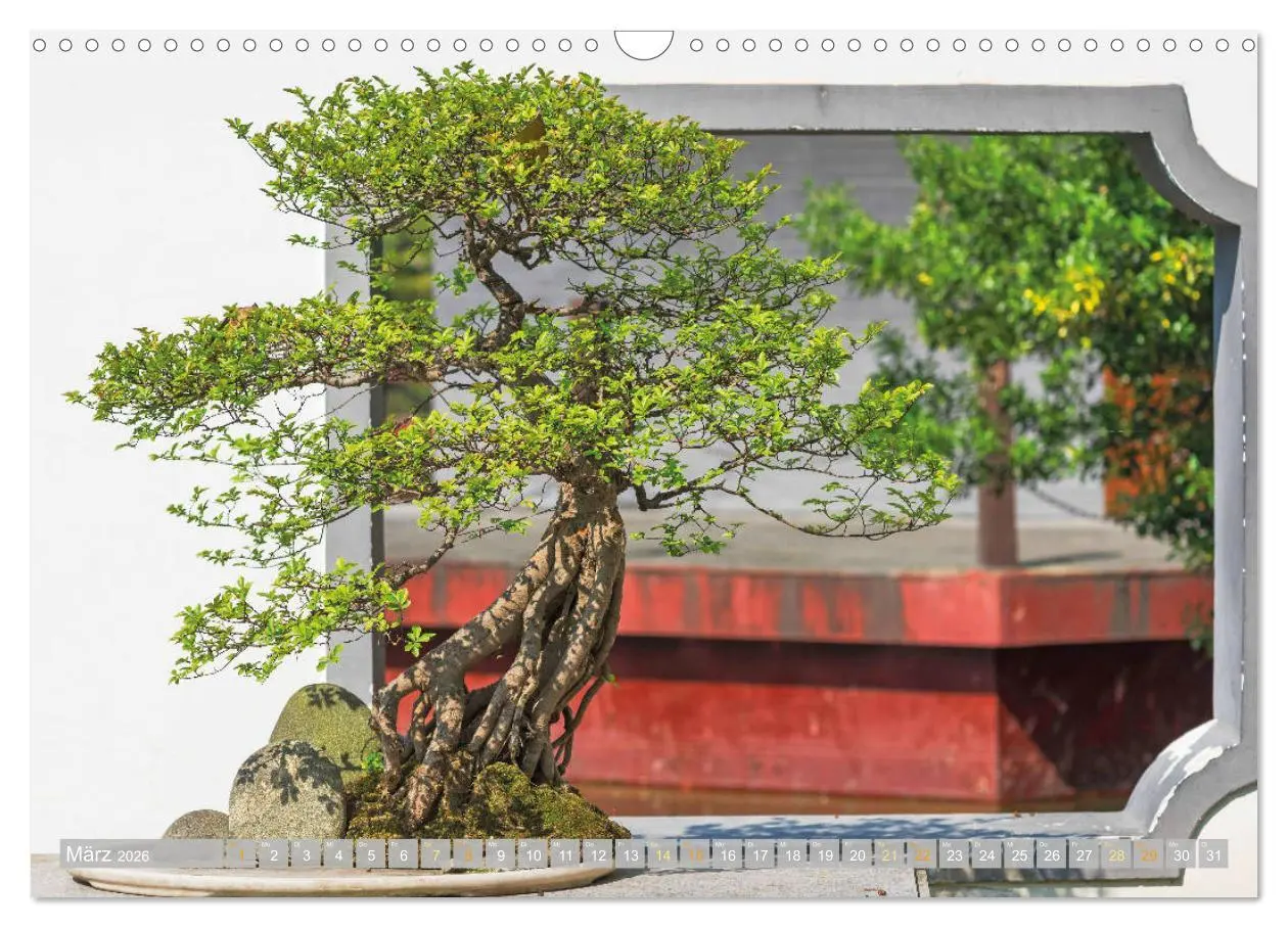 Bild: 9783457347720 | Gartenkunst aus Japan: Bonsai (Wandkalender 2026 DIN A3 quer),...
