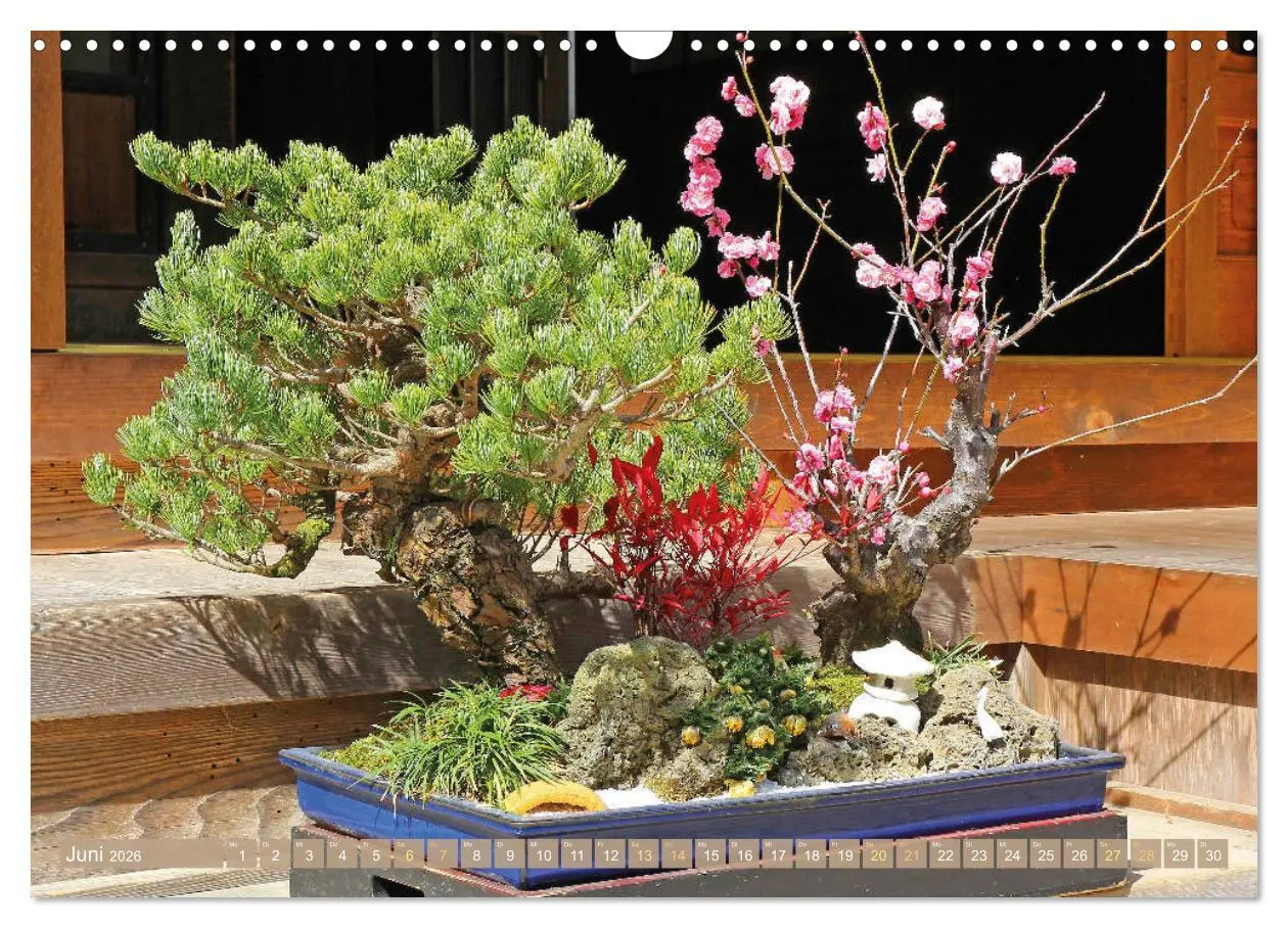 Bild: 9783457347720 | Gartenkunst aus Japan: Bonsai (Wandkalender 2026 DIN A3 quer),...