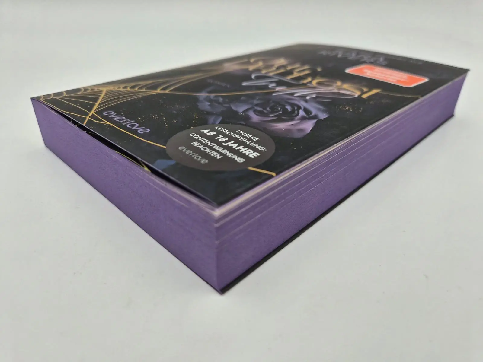 Bild: 9783492067720 | Our darkest Truth | Sara Rivers | Taschenbuch | Bruderschaft der Styx