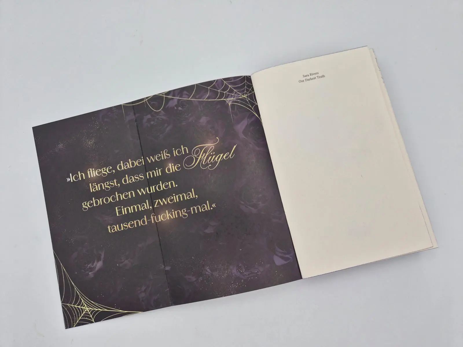 Bild: 9783492067720 | Our darkest Truth | Sara Rivers | Taschenbuch | Bruderschaft der Styx