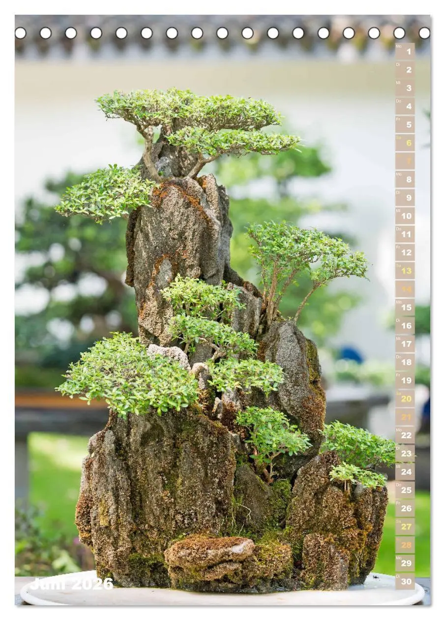 Bild: 9783516297720 | Bonsai: Gartenkunst im Kleinen (Tischkalender 2026 DIN A5 hoch),...