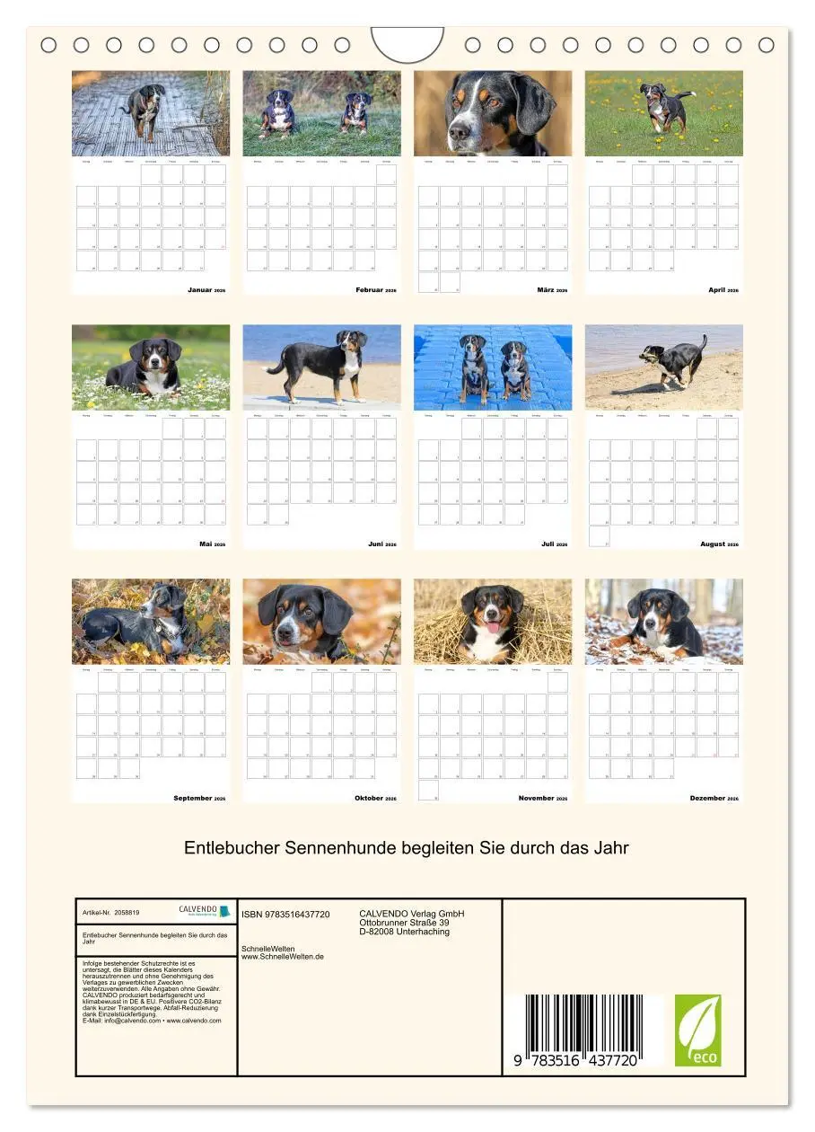 Bild: 9783516437720 | Entlebucher Sennenhunde begleiten Sie durch das Jahr (Wandkalender...