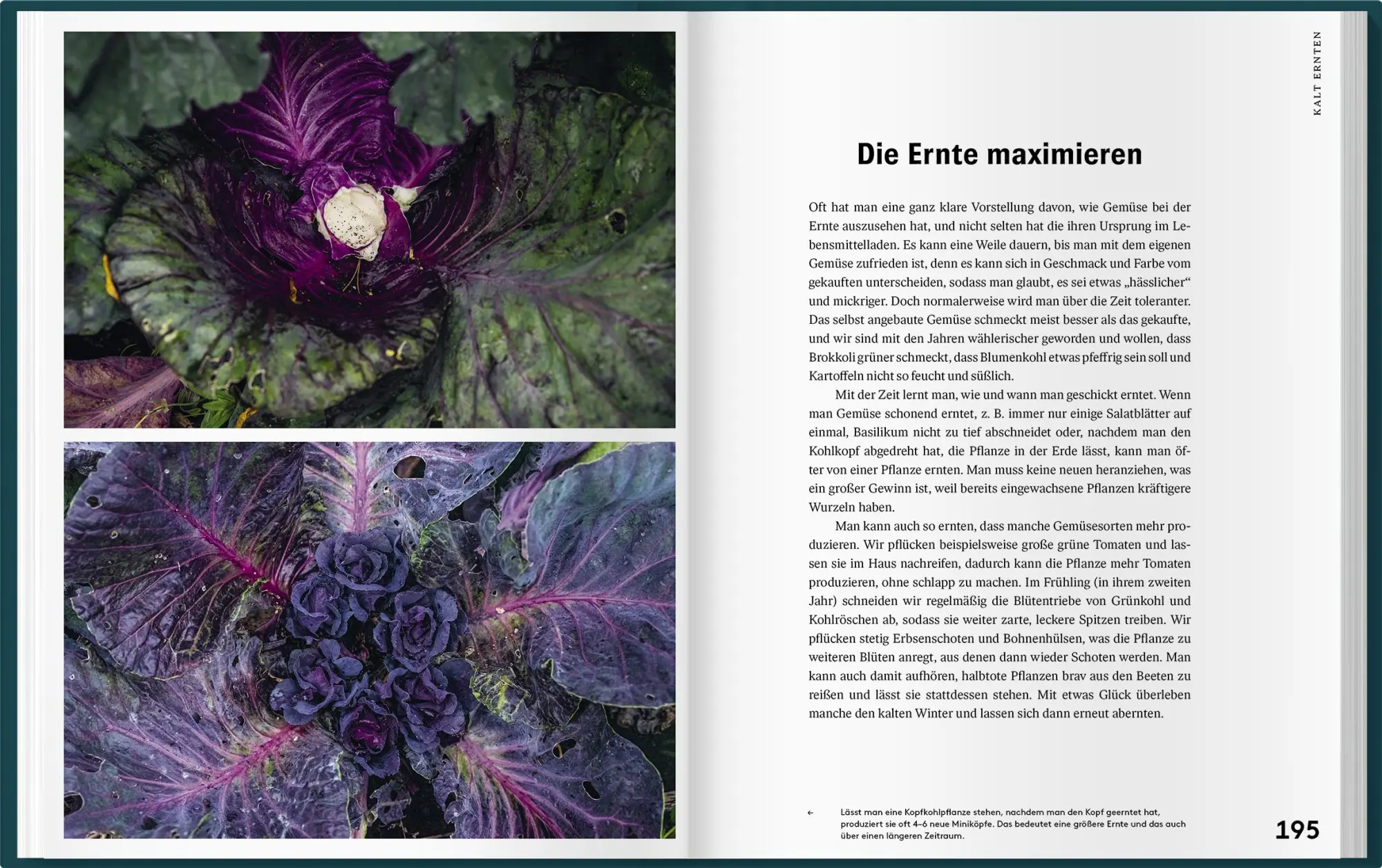 Bild: 9783784357720 | Mit Kaltanbau zu grünen Wundern | Theres Lundén (u. a.) | Buch | 2024