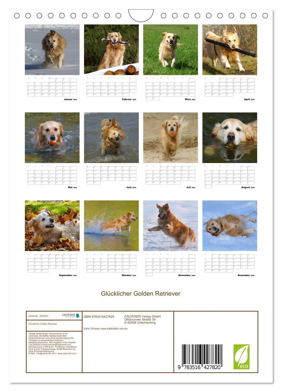 Bild: 9783516427820 | Glücklicher Golden Retriever (Wandkalender 2026 DIN A4 hoch),...