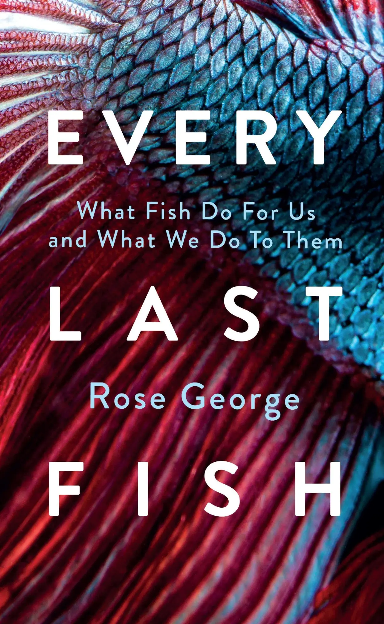 Cover: 9781783787920 | Every Last Fish | What Fish Do for Us and What We Do to Them | George